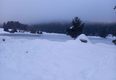 Tour Wandern Charix - lac genin - Photo