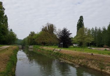 Percorso Marcia Marolles - Marolles du 25/05/2019 - Photo