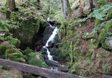 Tocht Stappen Stosswihr - Gaschney - Stolz Ablass - Photo