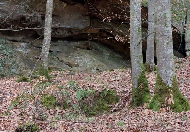 Tocht Stappen Waldbillig - mullerthal - Photo