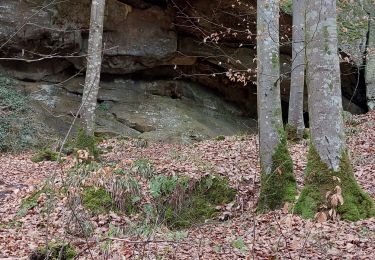 Randonnée Marche Waldbillig - mullerthal - Photo