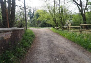 Randonnée A pied Breckland - Lynford Circular Walk - Photo