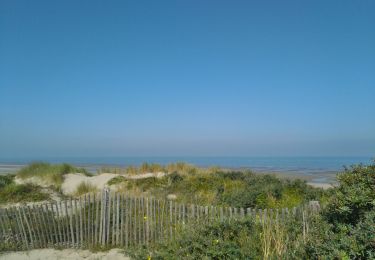 Randonnée Marche Zuydcoote - la dune Marchand Zuydcoote circuit par les dunes - Photo