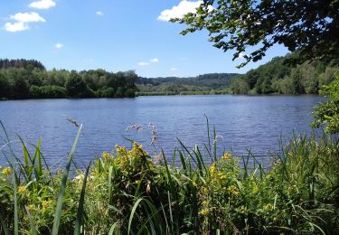 Tour Wandern Champeau-en-Morvan - Tour du lac de Chamboux  - Photo