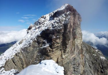 Tocht Te voet Scuol - San Jon - Chamonna Lischana - Photo