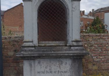 Excursión Senderismo Binche - binche et son patrimoine - Photo