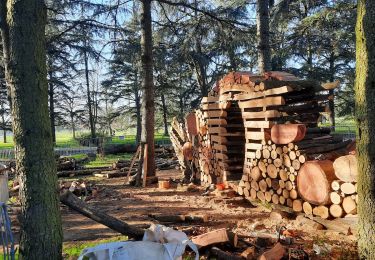 Randonnée Marche Vénissieux - parilly le 25 nov 2020 - Photo