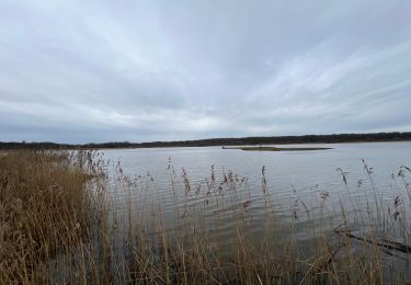 Randonnée Marche Chimay - Aquascope de Virelles - Photo