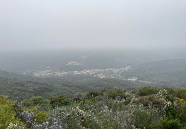 Tocht Stappen Pino - Autour luri - Photo