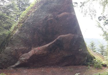 Tour Wandern Neufmaisons - La Trouche Rocher des Vannes - Photo