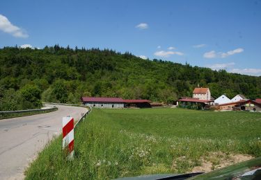 Percorso A piedi Treuchtlingen - Möhrenbachweg - Photo