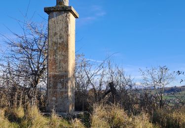 Trail Mountain bike Villages du Lac de Paladru - Madone le pin - Photo