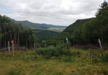 Trail Walking Chambon-sur-Lac - Chambon des Neiges - Photo