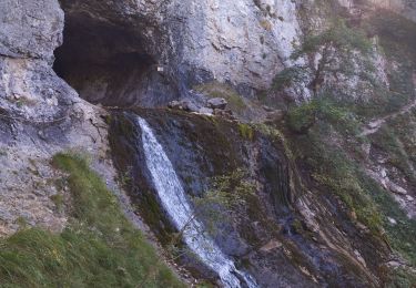 Tour Wandern Saint-Pierre-de-Chartreuse - tour de la Dent de crolles par des sangles  - Photo