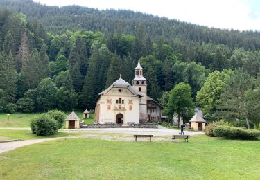 Randonnée Marche Les Contamines-Montjoie - Balmes - Photo