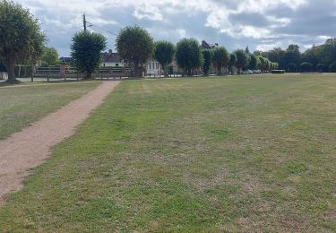 Tour Wandern La Londe - 20230801 La Londe - Photo