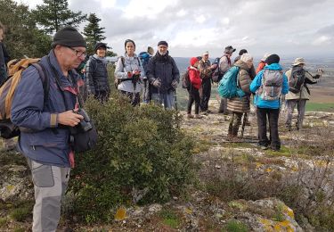 Trail Walking Capendu - Capendu / Alaric - Photo