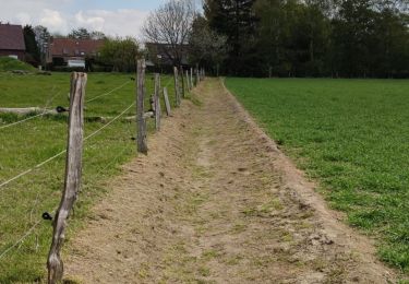 Tour Wandern Juprelle - Villers Saint Siméon - Lantin - Liers - Villers Saint Siméon  - Photo