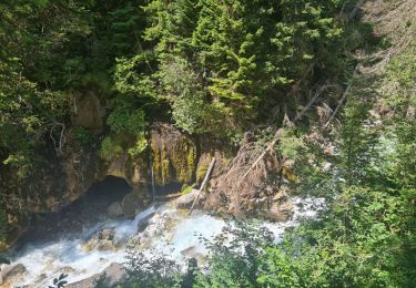 Randonnée Marche Pralognan-la-Vanoise - Pralognan 2025-07-14  Cascade de la Fraiche par le haut - Photo