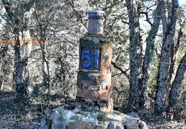 Tocht Stappen Roquebrune-sur-Argens - Autour de la Maurette (variante) - Photo