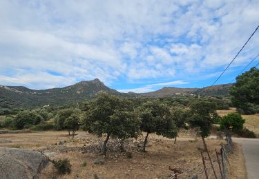 Trail Walking Pigna - pigna- corbara - Photo