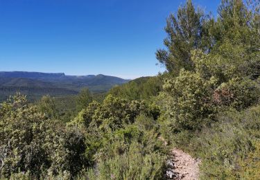 Tour Mountainbike Saint-Zacharie - Au départ de St. Zacharie-Les sources de l'huveaune - Photo