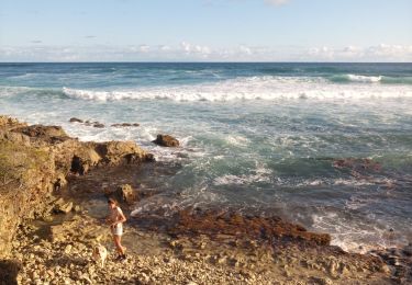 Tocht Stappen Le Moule - Porte d'Enfer - Anse Salabouelle - Photo