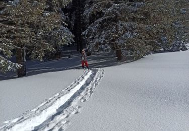 Excursión Raquetas de nieve La Pesse - L'Embossieux - Les Planes - Photo