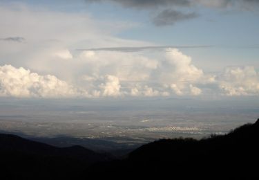 Tocht Te voet  - Παλιοχώρι - Γκόλα Τσούκα - Photo