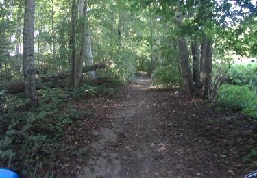 Randonnée V.T.T. Charleroi - VTT de Ransart à Villers la ville par Reve. - Photo