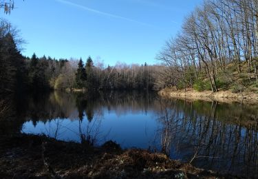 Excursión Senderismo Esmoulières - 27-02-19 Beulotte la Guillaume - Photo