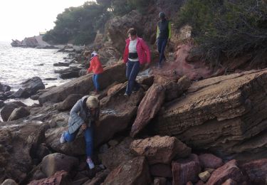 Trail Walking Sanary-sur-Mer - Sanary - Photo