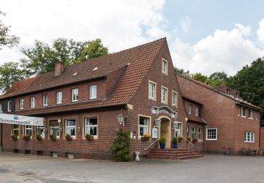 Tour Zu Fuß Dülmen - Große Teichsmühle Rundweg A3 - Photo