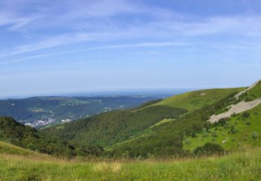 Tocht Stappen Orcival - Guery_Gros_Ordanche - Photo