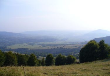 Percorso A piedi  - sat Tușnadu Nou - Tinovul Mohos - Cabana Lacul Sfânta Ana - Photo