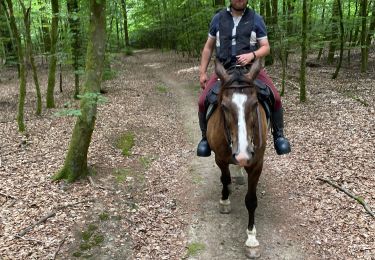 Trail Horseback riding Habay - Les 4 fils saumon à cheval - Photo