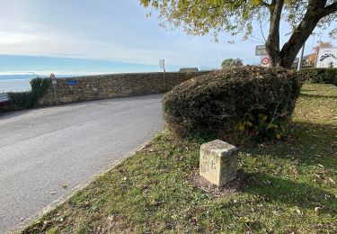 Tour Zu Fuß Neuenburg - Enges - Chemin de la Châtelainie - Photo