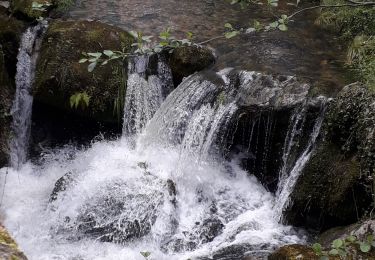 Tour Wandern Pranles - chirouze - Photo