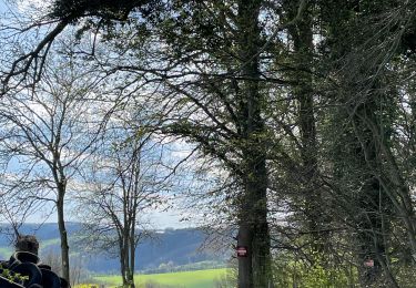 Excursión Senderismo Olne - Vauxalle Olne Saint hadelin hansez - Photo