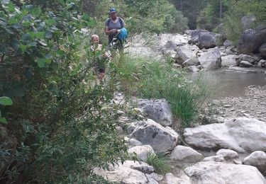 Randonnée Marche Aucelon - la brette - Photo