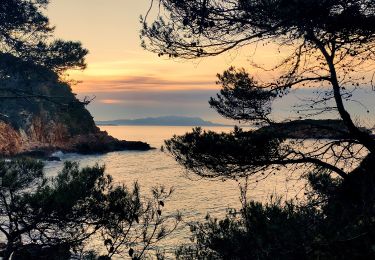 Trail Walking Bandol - Boucle Bandol - Port d'Alon - Dune de sable - La Madrague - Port d'Alon - Bandol - Photo