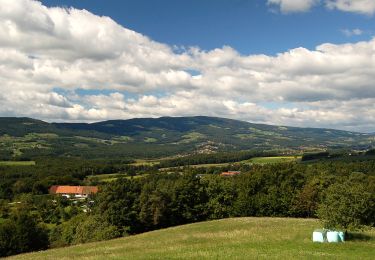 Excursión A pie Pöllau - Wanderweg 14 - Photo