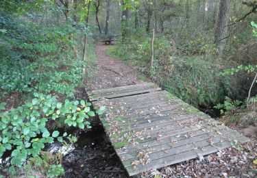 Tour Zu Fuß Hamminkeln - Klausenhof Rundweg A4 - Photo