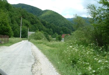 Excursión A pie  - Complex turistic Padiș - Complex turistic Boga - sat Pietroasa - Photo