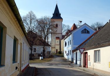 Tour Zu Fuß Lomnitz an der Lainsitz - naučná stezka Velký lomnický - Photo