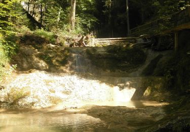 Randonnée A pied Ebenau - Mühlenwanderweg - Photo