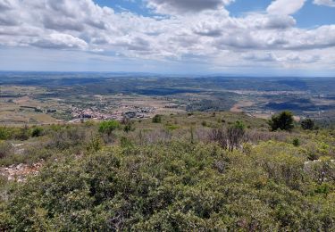 Tocht Stappen Causses-et-Veyran - Mont Peyroux (Causses et Veyran) - Photo