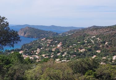 Randonnée Vélo de route Hyères - Hyènes J6 P7 79km 969m - Photo