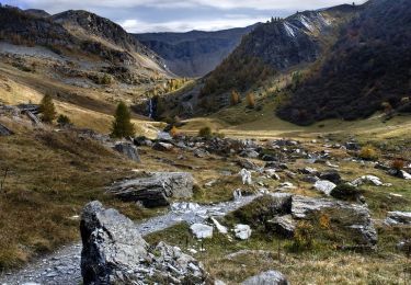 Randonnée Marche Orcières - R45   Marmottes a Prapic - Photo