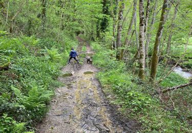 Trail Walking Camboulazet - Le ruisseau en botte - Photo